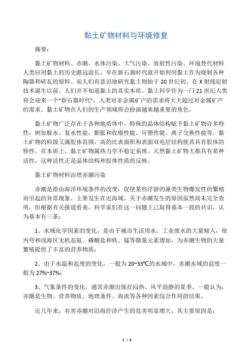 环境化学(黏土矿物材料与环境修复)