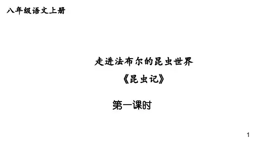 部编版八年级语文上册-- 第五单元 名著导读 昆虫记 科普作品的阅读