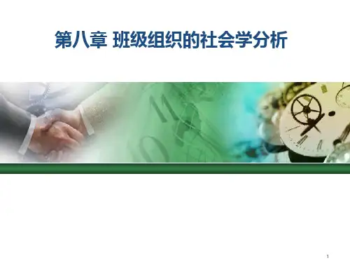 班级组织的社会学分析ppt课件