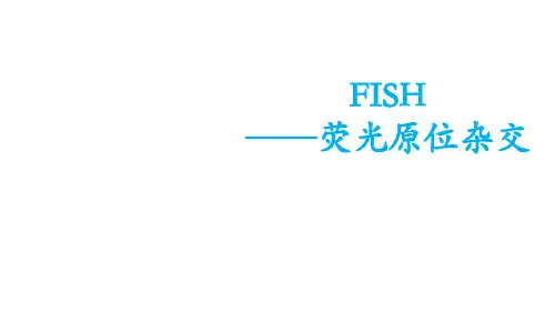 FISH——荧光原位杂交