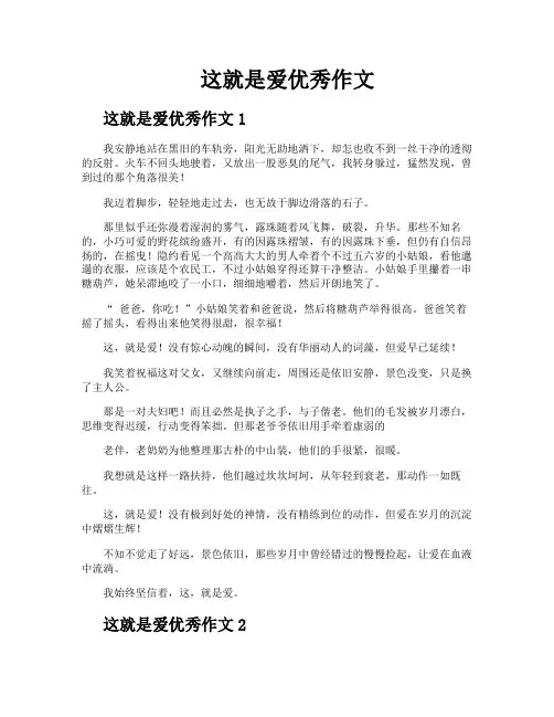 这就是爱优秀作文