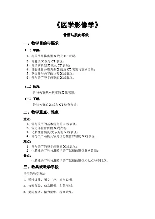 骨与软组织