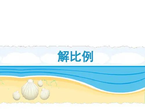 《解比例》教学课件2