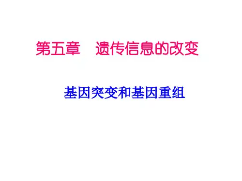 高中生物课件-基因突变和基因重组