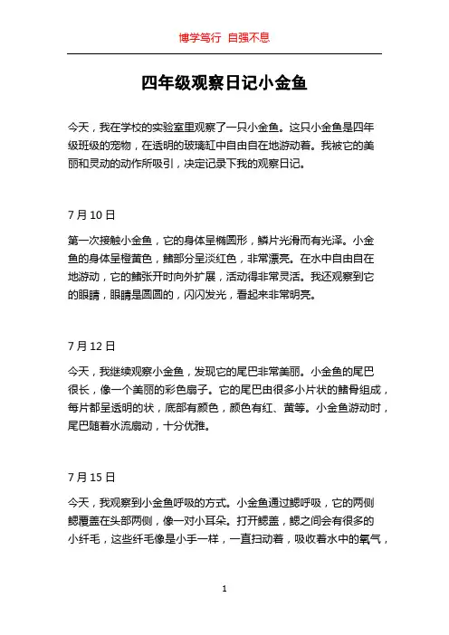 四年级观察日记小金鱼