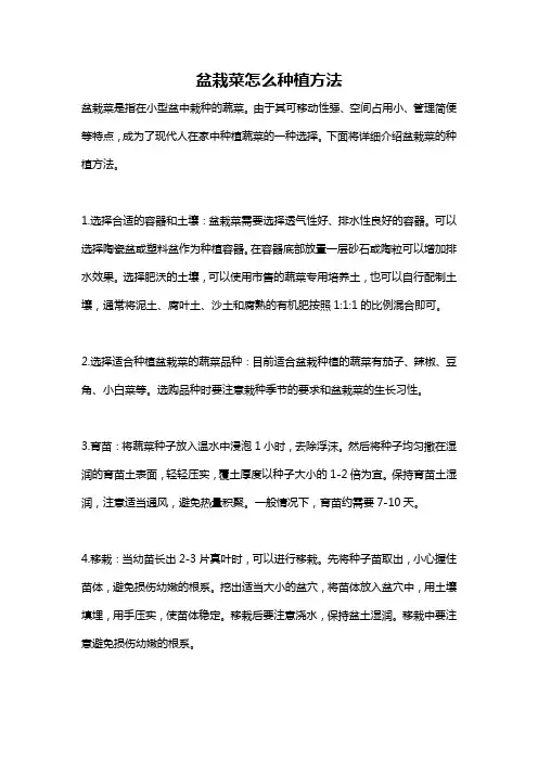 盆栽菜怎么种植方法