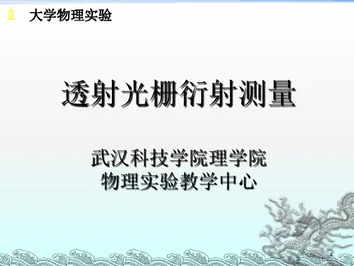 《光栅衍射测量》PPT课件 (2)