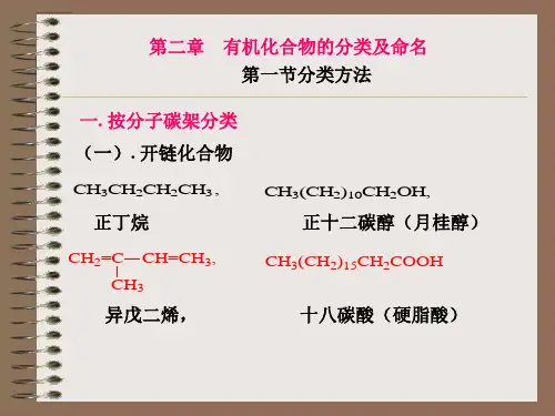 有机化合物命名及分类ppt课件