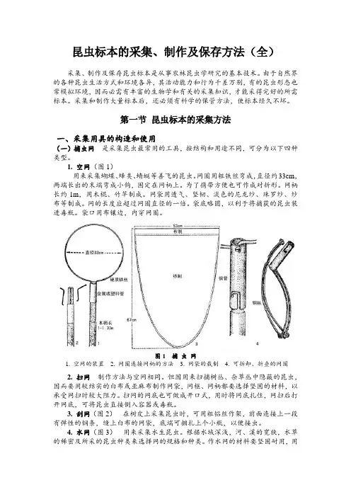 昆虫标本采集制作及保存方法(最全)