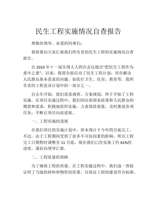 民生工程实施情况自查报告