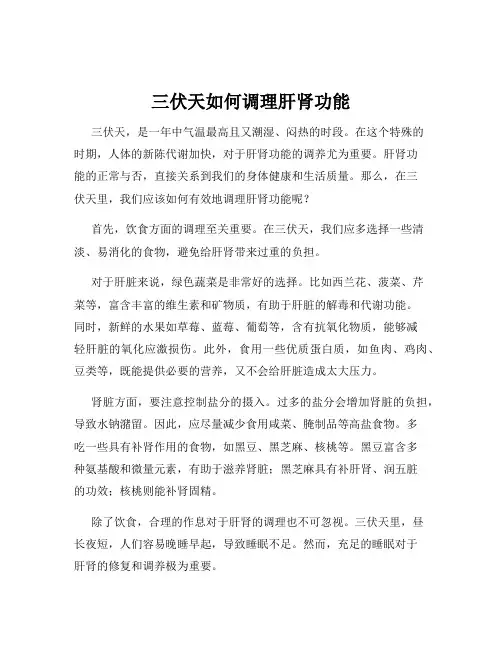 三伏天如何调理肝肾功能