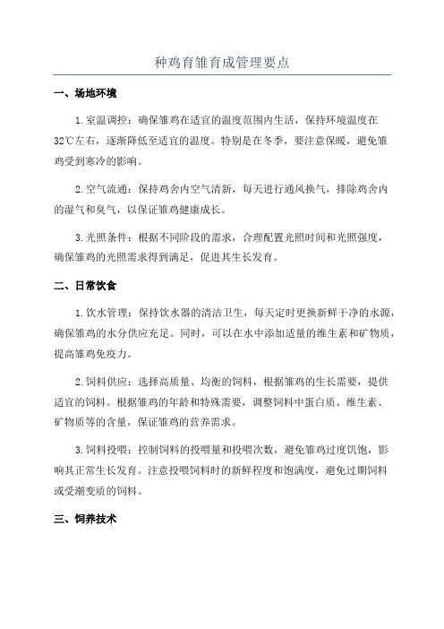 种鸡育雏育成管理要点