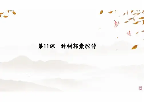 11《种树郭橐驼传》课件(共43张PPT)统编版高中语文选择性必修下册