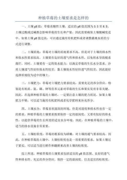 种植草莓的土壤要求是怎样的