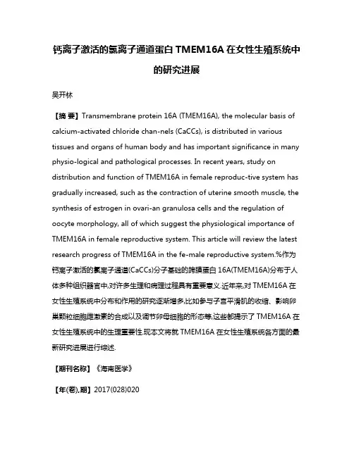 钙离子激活的氯离子通道蛋白TMEM16A在女性生殖系统中的研究进展