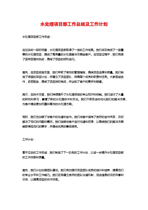 水处理项目部工作总结及工作计划