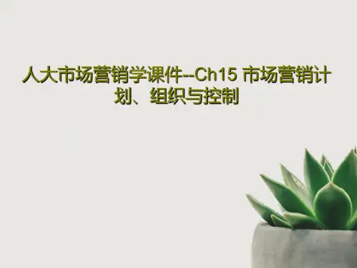 人大市场营销学课件--Ch15 市场营销计划、组织与控制29页文档