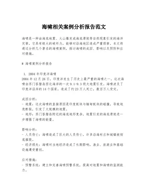 海啸相关案例分析报告范文