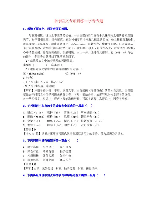 【全力打造】2022年云南中考语文字音-专题精品推荐