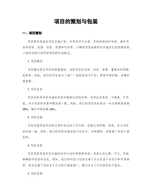 项目的策划与包装