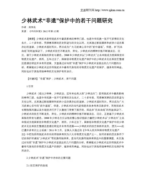 少林武术“非遗”保护中的若干问题研究