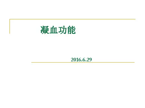 凝血机制讲解ppt课件