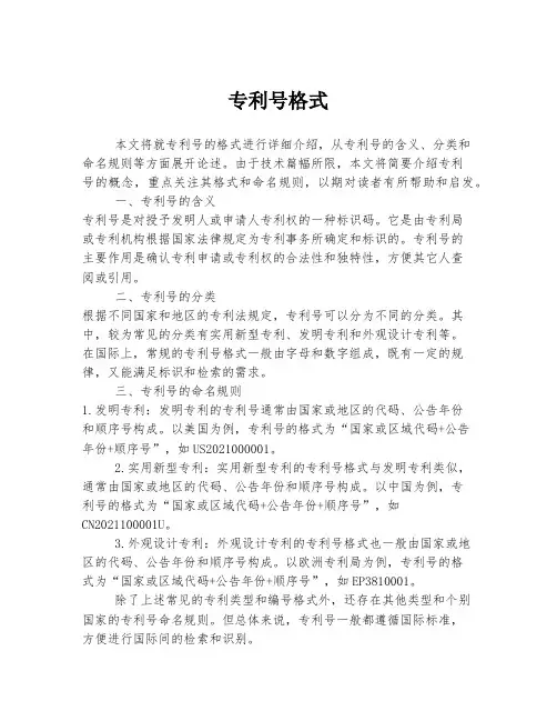 专利号格式