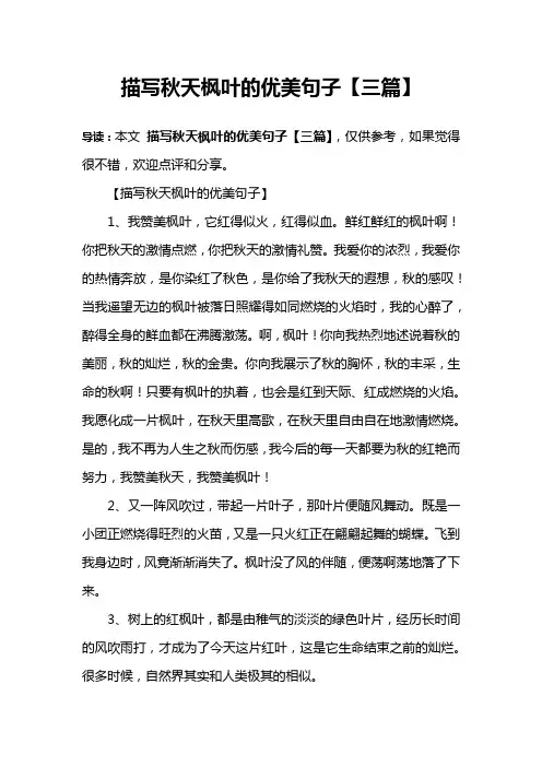 描写秋天枫叶的优美句子【三篇】