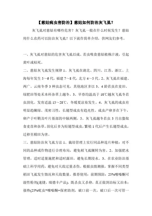 【慈姑病虫害防治】慈姑如何防治灰飞虱？