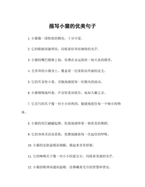 描写小猫的优美句子