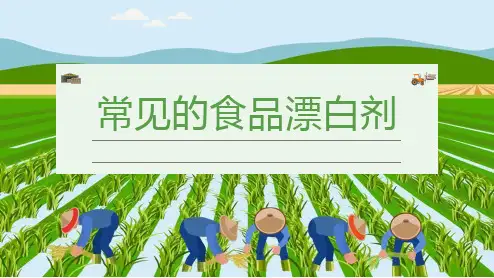 常见的食品漂白剂