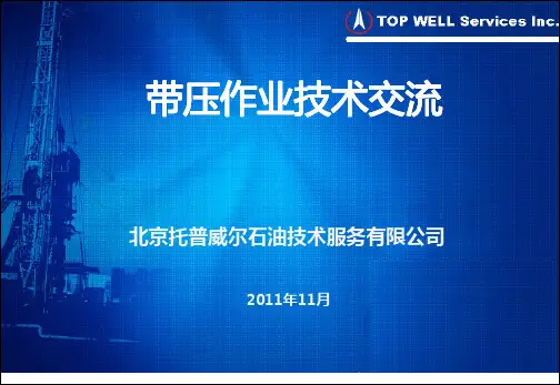 2带压作业技术交流