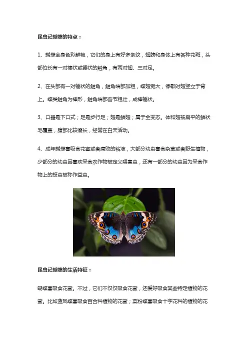 昆虫记中蝴蝶的介绍