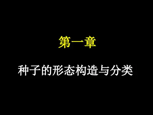 种子学种子的形态构造与分类