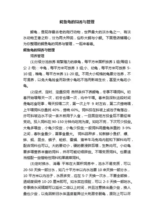 鳄鱼龟的饲养与管理