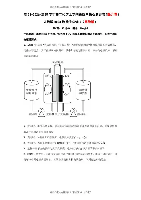 2024-2025高二化学人教版选择性必修一第四章化学反应与电能(提升卷)(原卷版 02