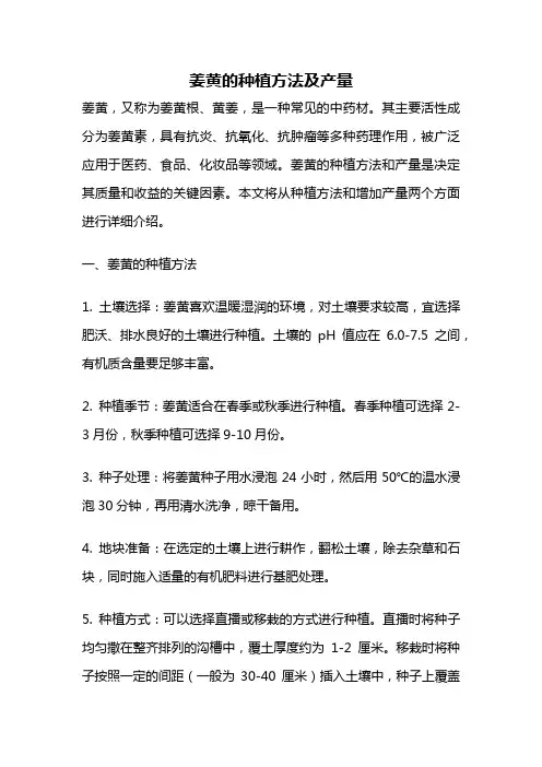 姜黄的种植方法及产量