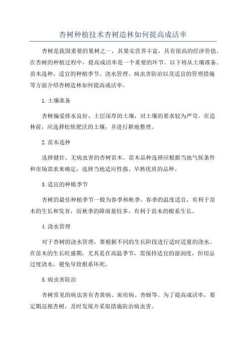 杏树种植技术杏树造林如何提高成活率