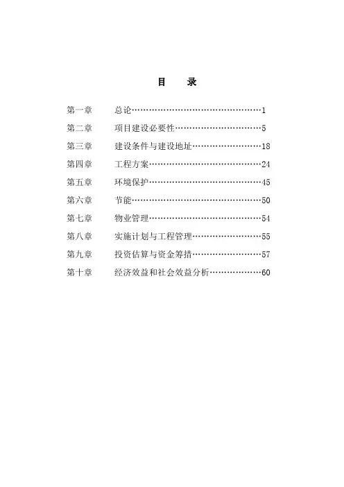 昌乐盛和爱伦堡项目可行性论证报告