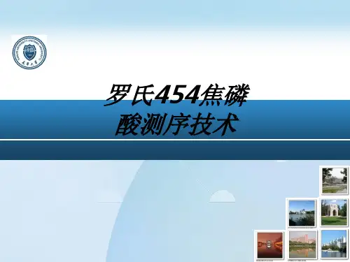 罗氏焦磷酸测序技术教育课件