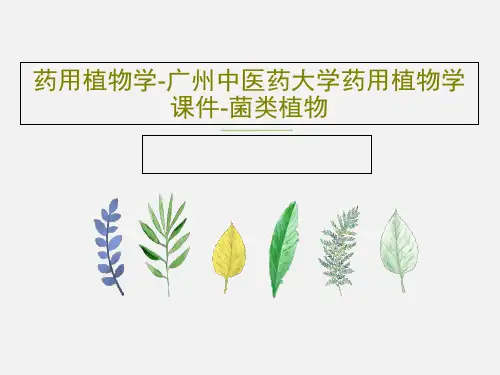 药用植物学-广州中医药大学药用植物学课件-菌类植物58页PPT