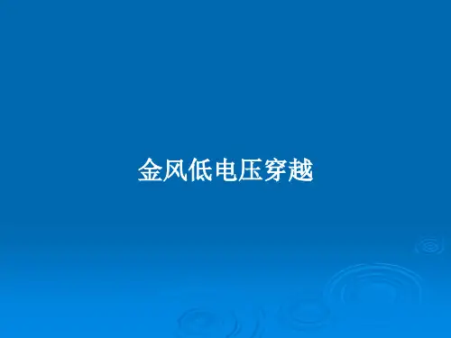金风低电压穿越PPT教案