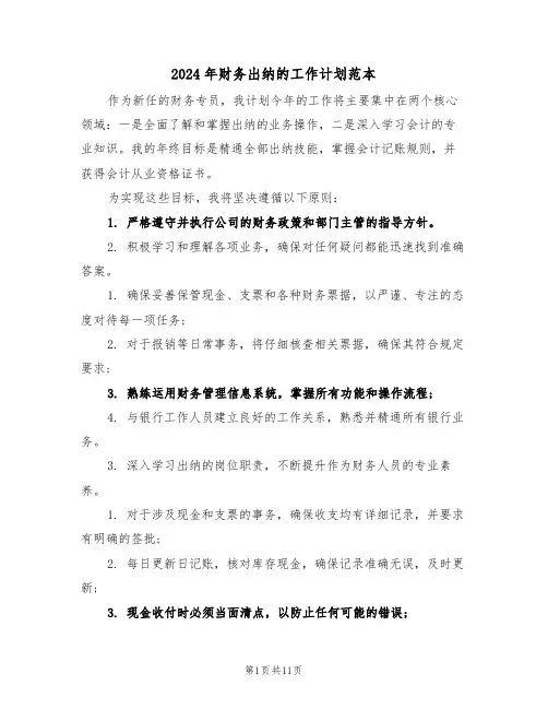 2024年财务出纳的工作计划范本(6篇)