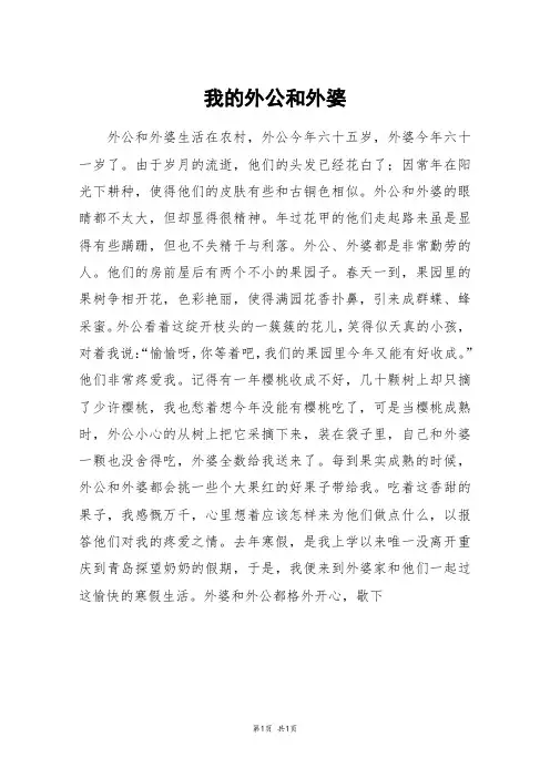 我的外公和外婆_五年级作文