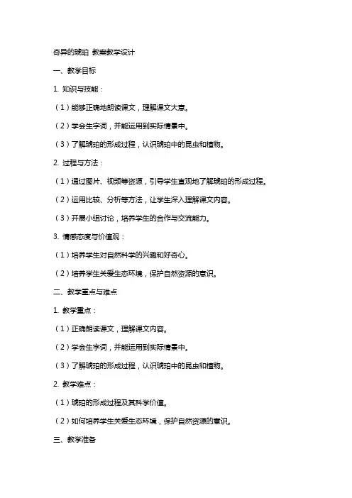 奇异的琥珀 教案教学设计