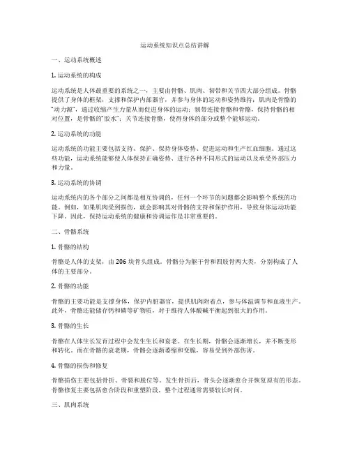 运动系统知识点总结讲解