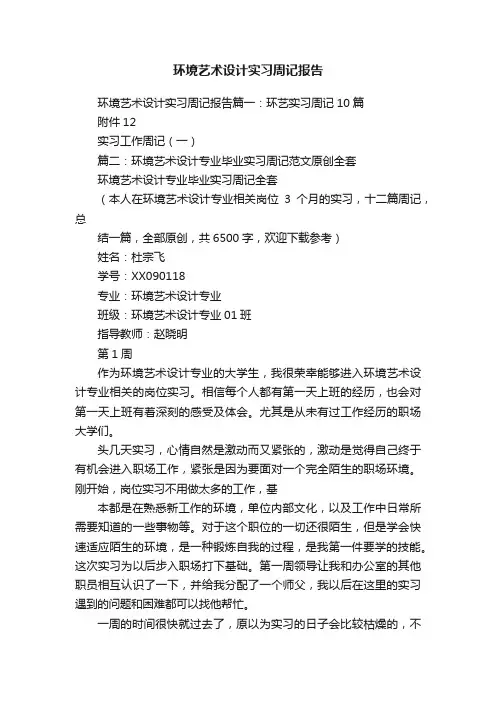环境艺术设计实习周记报告