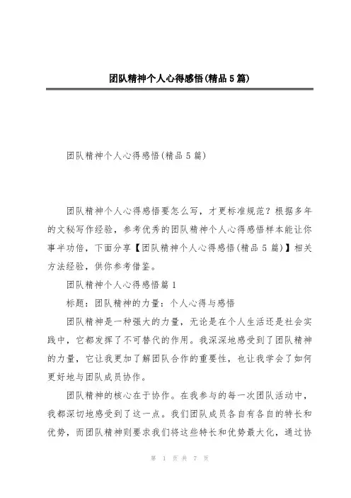 团队精神个人心得感悟(精品5篇)