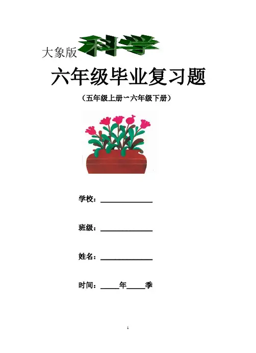 大象版六年级科学毕业总复习资料附答案