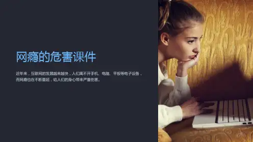 网瘾的危害课件